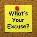 What's Your Excuse Means Explain Procrastination