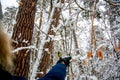 What to feed the birds in the winter? Man feeds the bird in the winter forest.