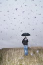 What a wonderful rain. Royalty Free Stock Photo