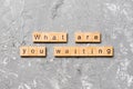 What are you waiting word written on wood block. What are you waiting text on cement table for your desing, Top view concept Royalty Free Stock Photo