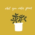 What you water grows. Inspirational quote, handwritten wisdom. Hand drawn doodle illustration of crassula plant in pot