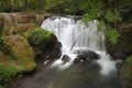 Whatcom Falls, Bellingham