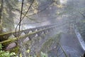 Whatcom Falls Bridge, Bellingham, Washington