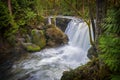 Whatcom Falls Royalty Free Stock Photo