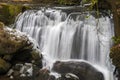 Whatcom Falls Park