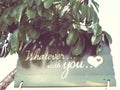 Whatever with you written on wood romatic love message with heart at tree Royalty Free Stock Photo