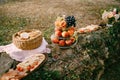 Whatnot with fruit, a basket with slices of bread and a board with cheese and meat cuts on stones in nature.