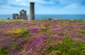 Wheal Coates tin mine with colorful flowers and heather in the foreground,Cornwall,England,UK Royalty Free Stock Photo