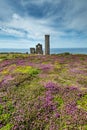 Wheal Coates tin mine with colorful flowers and heather in the foreground,Cornwall,England,UK Royalty Free Stock Photo