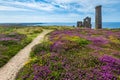 Wheal Coates tin mine with colorful flowers and heather in the foreground,Cornwall,England,UK Royalty Free Stock Photo