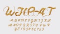 Wheat style font design, alphabet letters and numbers, AI CS6 vector.