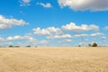Wheat agricultural field after harvesting under vivid blue sky with vibrant dramatic cloudscape in Spain. Nature farmland