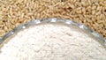 Wheat background and a bowl of flour Royalty Free Stock Photo