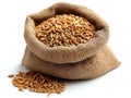 wheat in bag, realistic illustration Royalty Free Stock Photo