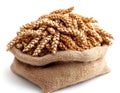 wheat in bag, realistic illustration Royalty Free Stock Photo