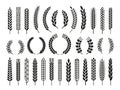 Wheat barley ears, oat isolated frames and wreaths. Grains graphic, rice or malt icons. Gluten pictogram, cereal