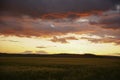 Wheat or barley field under storm cloud. At sunset, the color of the clouds is orange and dark blue. Royalty Free Stock Photo