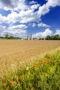 Wheat and Barley fields in America Royalty Free Stock Photo