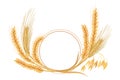 Wheat, barley, oat and rye set. Four cereals spikelets with ears, sheaf and text premium foods, natural product