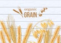 Wheat, barley, oat and rye on white wooden background. Cereals spikelets with ears, sheaf and text organic grain,