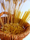 Wheat basket cornucopia Royalty Free Stock Photo