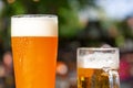 A wheat beer and a pils are standing on a table in a beer garden