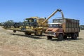 Wheat being transferred from a combine harvester.