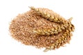 Wheat bran Royalty Free Stock Photo