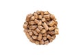 Wheat bran pellet isolate in the shape of a circle. Stern. Royalty Free Stock Photo