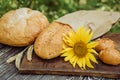 Wheat bread with flax seeds, buns or pies, sunflower on a brown wooden background, home baking 1 Royalty Free Stock Photo