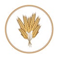 Wheat bread icon Vector barley plant rye oat healthy farm food logo. Isolated graphic illustration