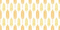 Wheat brush texture seamless pattern background. Hand drawn crayon brush abstract floral wheat seamless pattern. Floral Royalty Free Stock Photo