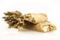 Wheat bunch and baguette on white background. Grain bouquet and bread. Golden spikelets.