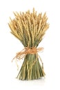 Wheat Bundle Royalty Free Stock Photo