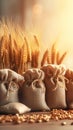 Wheat in burlap in sacks on a minimalistic background, industrial food cultivation.