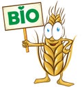 Wheat cartoon bio with signboard isolated