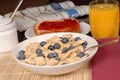 Wheat cereal with blueberries, toast, orange juice and newspaper