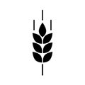 Wheat cereal icon. Fiber oat. Logo bakery. Spike wheat. Bread grain isolated on background. Seed flour barley, corn, rye, malt, br