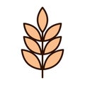 Wheat cereal nature branch line fill icon