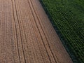 Wheat and Corn grain field arable land drone shot