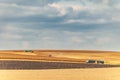 Wheat and corncrop harvesting