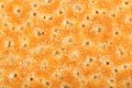 Wheat crackers with poppy seeds Royalty Free Stock Photo