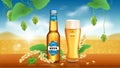 Wheat craft beer ads banner Royalty Free Stock Photo