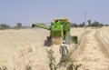 Wheat Crop Farm Harvest with Harvester in Central India , Madhya Pradesh Royalty Free Stock Photo