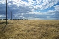 Wheat crops field with cloudy windy sky Royalty Free Stock Photo