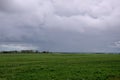 Wheat crops under cloud cover, Saskatchewan, Canada. Royalty Free Stock Photo