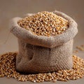 Wheat detail Close up of wheat stored in a small sack
