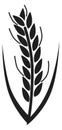 Wheat ear black silhouette. Farm crop icon Royalty Free Stock Photo