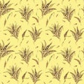 Wheat ear bunch watercolor seamless pattern isolated on beige background. Spikelet of rye, barley, grains hand drawn Royalty Free Stock Photo