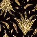 Wheat ear bunch watercolor seamless pattern isolated on black background. Spikelet of rye, barley, grains hand drawn Royalty Free Stock Photo